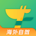 世界雨林日：在海南热带雨林邂逅一片“绿色穹顶”