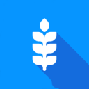 温网夺冠是最大假象！斯瓦泰克急剧下滑的技改迷思